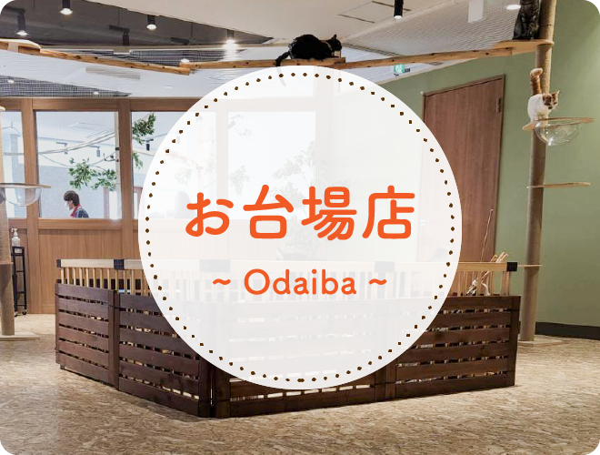 公式 動物たちが暮らす森 アニミル 大阪のアニマルカフェ