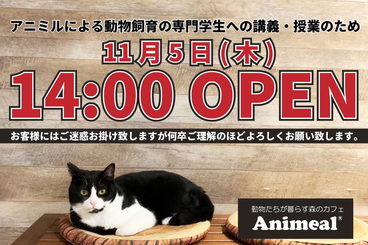 公式 動物たちが暮らす森のカフェ アニミル 大阪 ふれあい体験