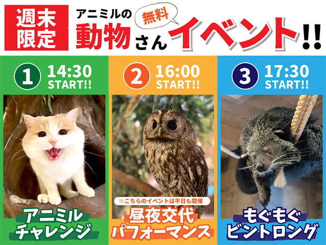 公式 動物たちが暮らす森のカフェ アニミル 大阪 ふれあい体験