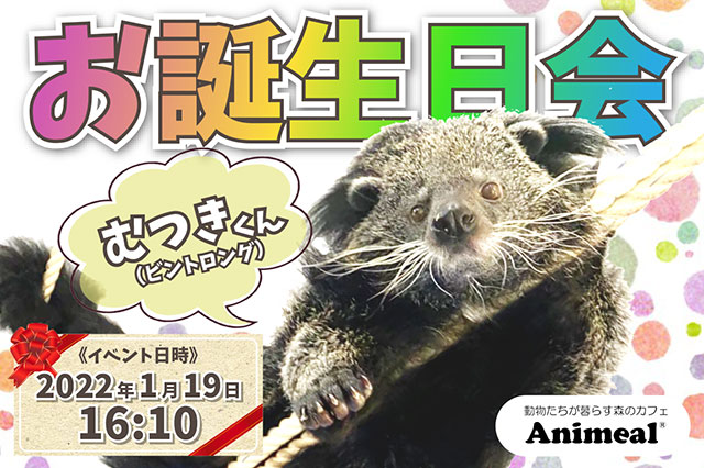 公式 動物たちが暮らす森のカフェ アニミル 大阪 ふれあい体験 公式 動物たちが暮らす森のカフェ アニミル 大阪 ふれあい体験
