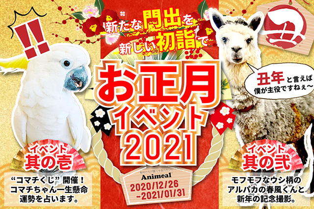 公式 動物たちが暮らす森のカフェ アニミル 大阪 ふれあい体験